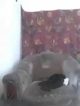 Cerd Ayaz online show from March 2025 06:19:02 AM