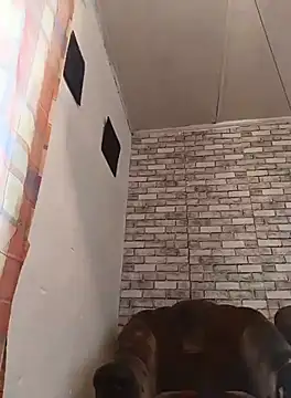 Cerd Ayaz online show from September 2025 09:32:02 AM