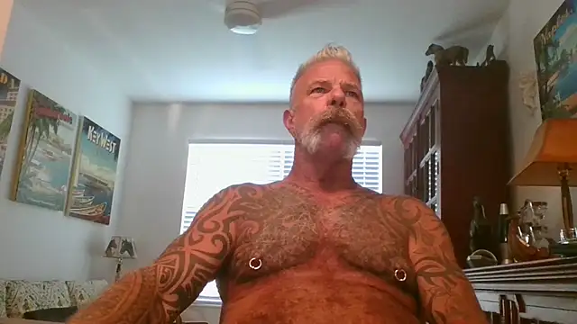 njdbear online show from November 2025 09:17:02 PM
