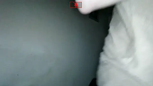 Ethangay online show from November 2025 06:27:01 AM