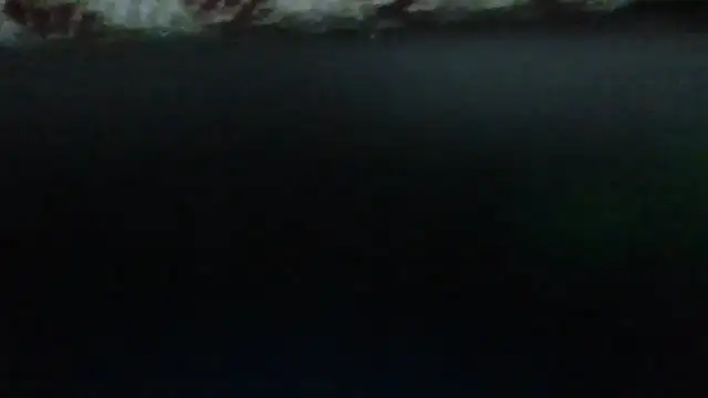 Leo Big online show from September 2025 11:19:01 PM