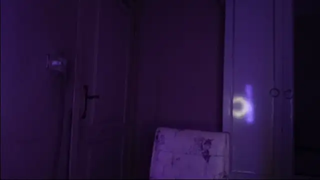 Snapshot of Bullish chatting on January 2025 11:45:02 AM Bullish online show from January 2025 11:45:02 AM