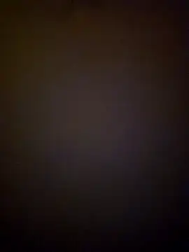 tropikboy online show from March 2025 09:49:02 AM