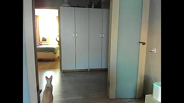 sweeetgirls2021 online show from December 2024 02:04:02 AM