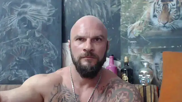 Snapshot of viking_30 chatting on September 2025 06:51:02 PM viking 30 online show from September 2025 06:51:02 PM