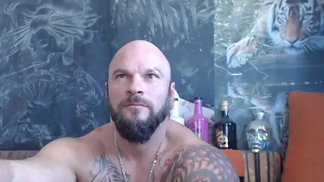 Snapshot of viking_30 chatting on September 2025 06:47:02 AM viking 30 online show from September 2025 06:47:02 AM