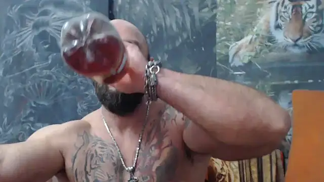 Snapshot of viking_30 chatting on September 2025 07:08:01 PM viking 30 online show from September 2025 07:08:01 PM