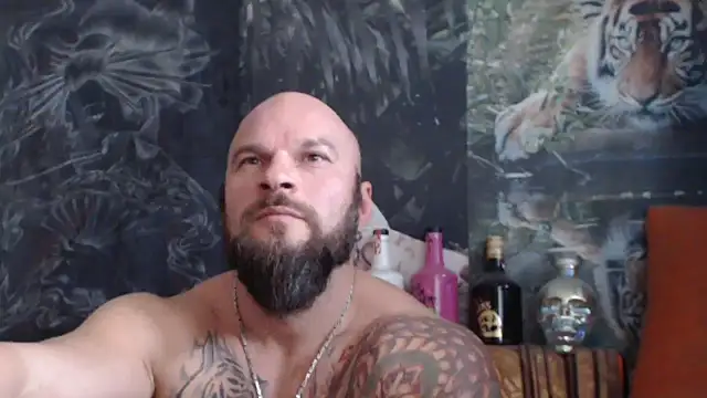 Snapshot of viking_30 chatting on November 2025 07:51:01 AM viking 30 online show from November 2025 07:51:01 AM