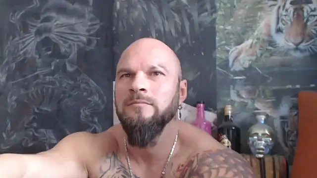 Snapshot of viking_30 chatting on November 2025 08:15:02 AM viking 30 online show from November 2025 08:15:02 AM