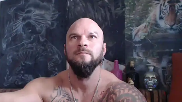 Snapshot of viking_30 chatting on November 2025 08:01:02 AM viking 30 online show from November 2025 08:01:02 AM