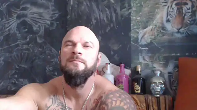 Snapshot of viking_30 chatting on November 2025 07:46:02 AM viking 30 online show from November 2025 07:46:02 AM