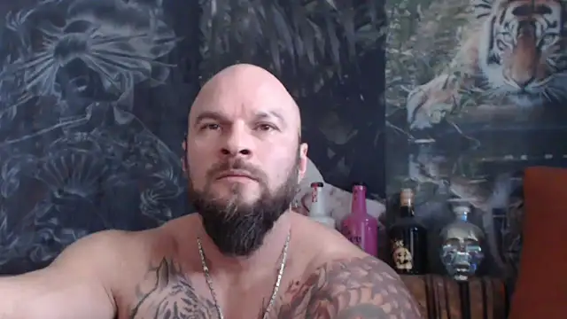 Snapshot of viking_30 chatting on November 2025 07:51:02 AM viking 30 online show from November 2025 07:51:02 AM