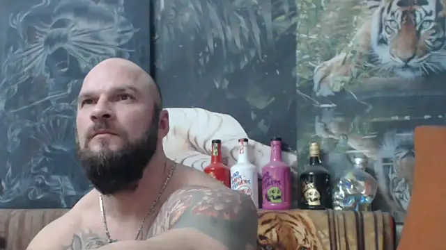 viking 30 online show from December 2025 07:22:01 PM