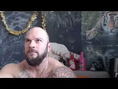 viking 30 online show from March 2026 06:42:01 AM