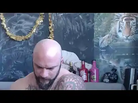 viking 30 online show from March 2026 07:02:01 AM