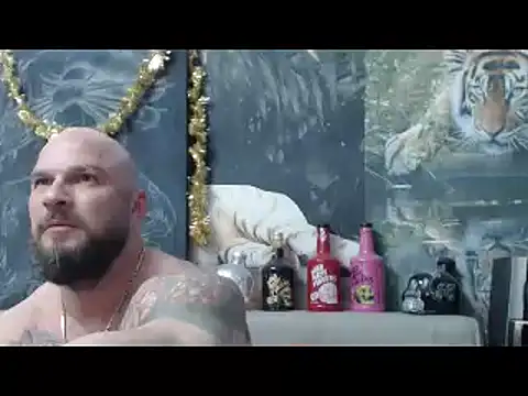 viking 30 online show from April 2026 06:19:02 PM