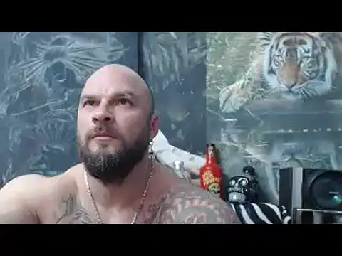 viking 30 online show from April 2026 06:02:01 PM