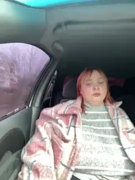 Model9798 online show from March 2025 11:19:02 AM