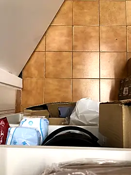 Mindnorthcam2 online show from November 2025 07:36:02 AM