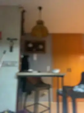 camelia3 online show from February 2026 12:42:02 AM