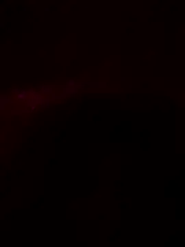 rajaRoyd online show from February 2025 11:25:02 PM