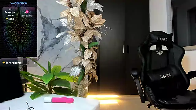 pamelajackson online show from December 2024 12:59:02 AM