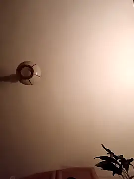 FireFox Feel online show from March 2025 02:31:02 AM