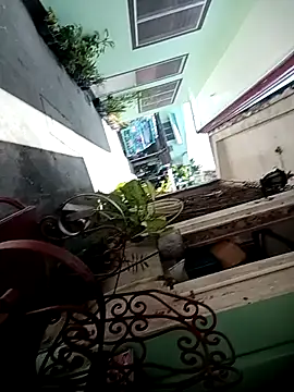 TropicalFlower online show from October 2025 01:06:01 AM