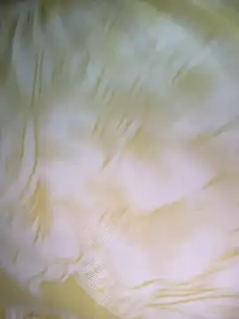 Dhiyapink online show from December 2024 06:41:01 AM