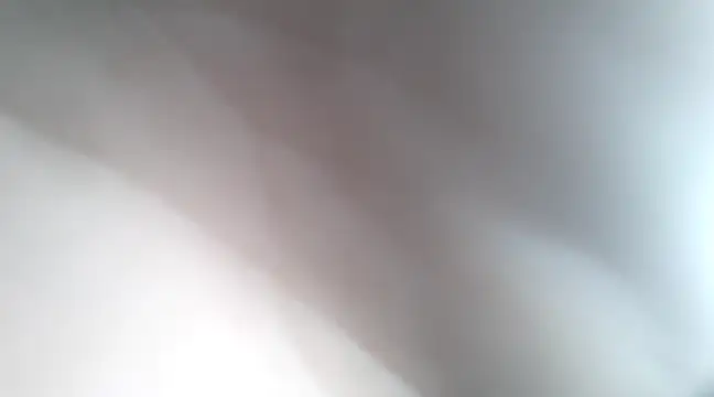 Snapshot of Dalton2288 chatting on January 2025 07:50:01 PM Dalton2288 online show from January 2025 07:50:01 PM