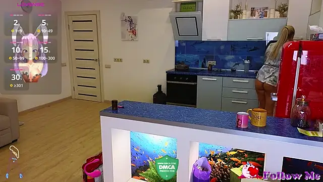 Rabbits couplee online show from March 2025 03:09:02 AM