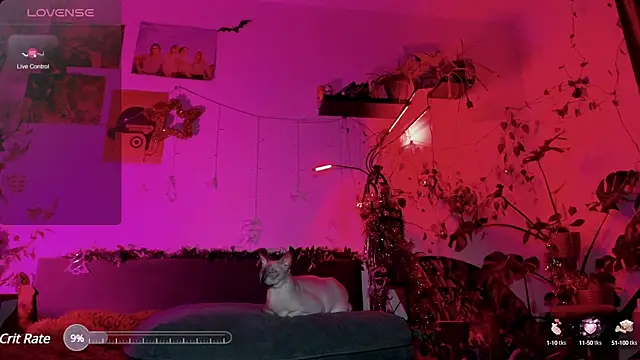 olivecum online show from January 2025 04:01:02 PM