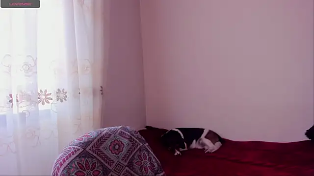 Snapshot of aluna_0310 chatting on December 2024 08:45:01 PM aluna 0310 online show from December 2024 08:45:01 PM