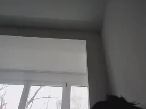 FallenDevil online show from January 2025 11:55:01 AM