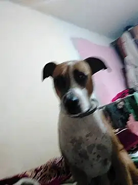 JoLeNe27 online show from October 2025 04:54:01 AM