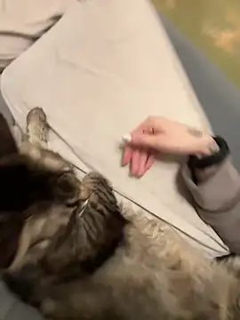 GraceCandy online show from February 2025 10:14:02 PM