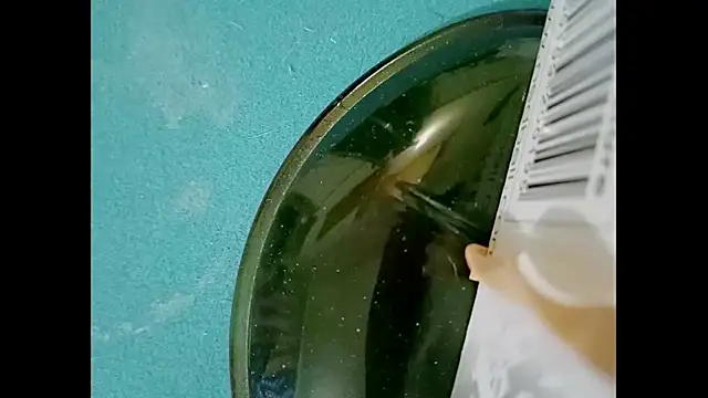 hairyuncut00 online show from March 2025 06:16:01 AM