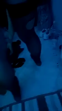 Snapshot of Misspadrona88 chatting on December 2025 10:37:01 PM Misspadrona88 online show from December 2025 10:37:01 PM