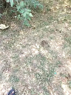 rameshmry1 online show from March 2026 05:29:02 AM