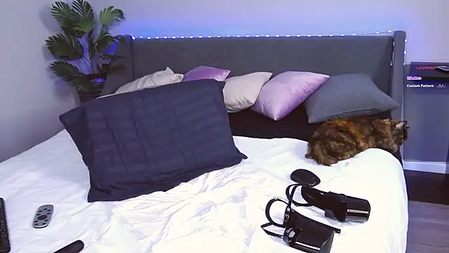 EvaMoses online show from February 2025 02:09:02 PM