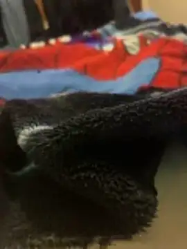 Red Foxxx25 online show from November 2025 01:51:02 AM