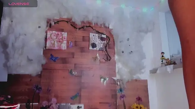 kelly thomson online show from January 2025 12:29:01 AM