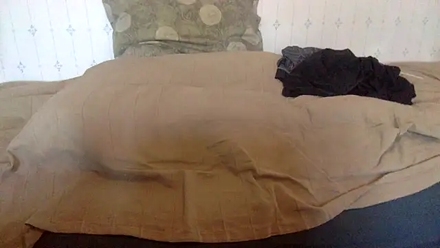 hamstergrabben online show from February 2025 11:54:01 AM