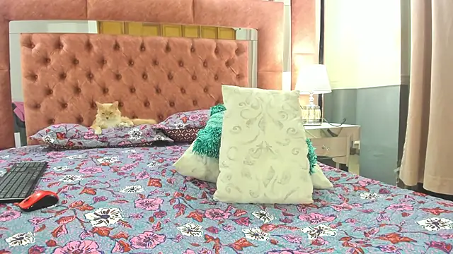 briana wonder69xxx online show from January 2025 04:21:01 AM