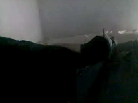 Dnbigo89 online show from February 2025 05:40:02 PM