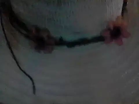 CROSSCOUNTRY1 online show from December 2024 07:58:02 PM