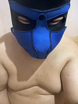 Snapshot of ilovepoochai chatting on November 2025 06:08:01 PM ilovepoochai online show from November 2025 06:08:01 PM