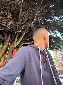 Snapshot of yequeal chatting on December 2024 03:11:01 PM yequeal online show from December 2024 03:11:01 PM