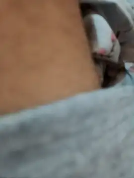 riggijaviersalas online show from November 2025 01:15:01 AM