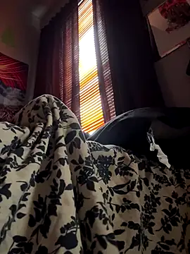 Snapshot of spideyzaddy chatting on November 2025 04:41:02 PM spideyzaddy online show from November 2025 04:41:02 PM